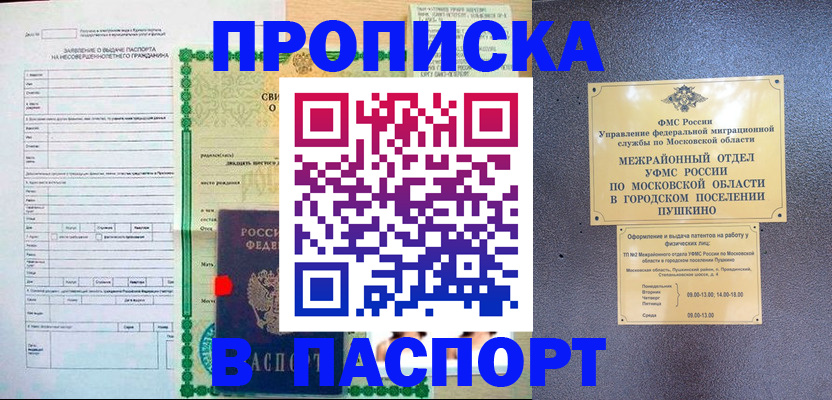 временная регистрация госуслуги в Волосово